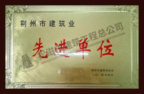 2013荊州先進(jìn)企業(yè)